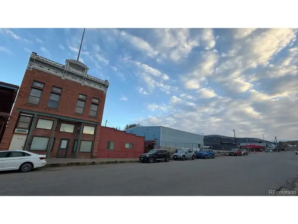 118 W 2nd #F, Leadville, CO 80461