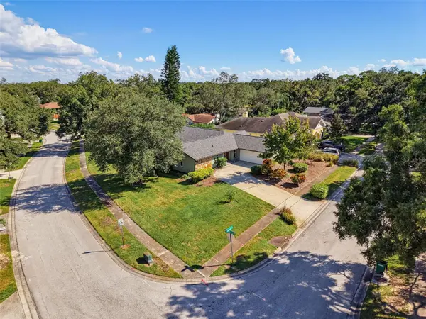 3 SUMMIT LN, Safety Harbor, FL 34695