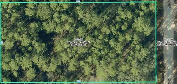 18379 MACEK RD, Weeki Wachee, FL 34614