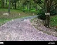 1 Anglin Branch, Franklin, TN 37064