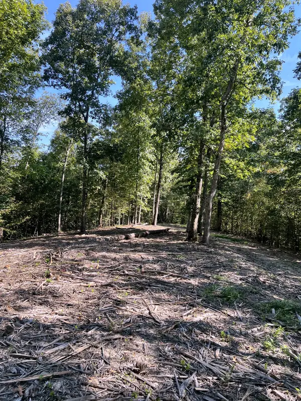 0 Hawkesbury Dr, Whitleyville, TN 38588