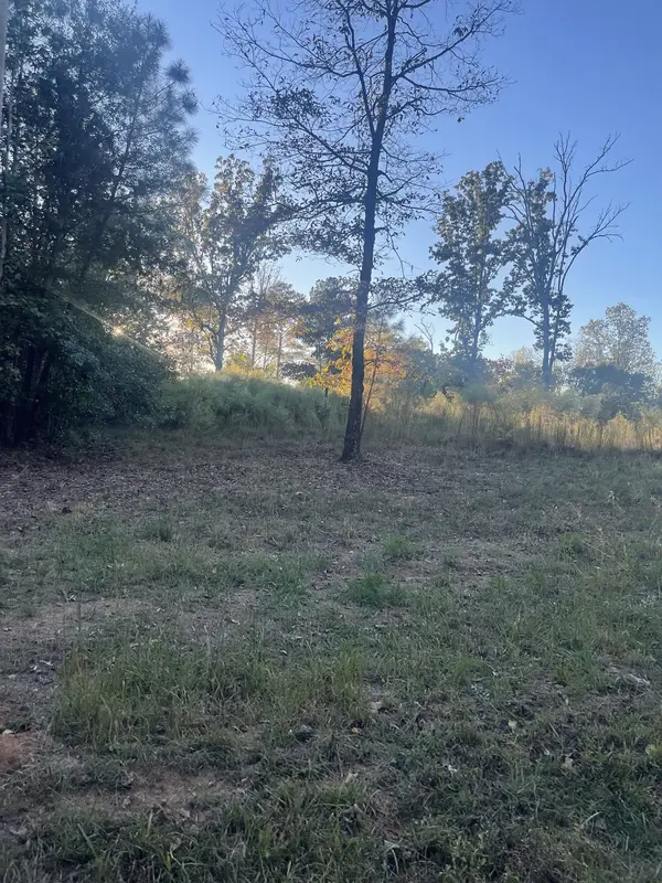 0 Pineview Road, Lexington, TN 38351