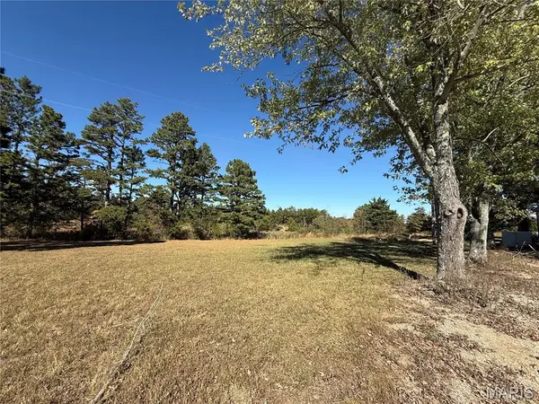 2810 Madison 238, Fredericktown, MO 63645