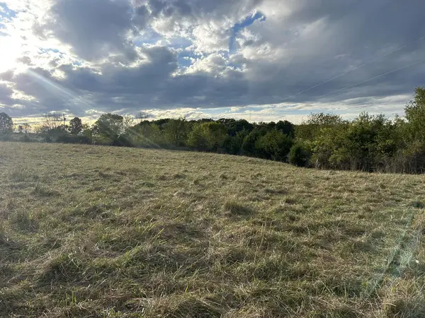 14627 Lawrence 1250, Billings, MO 65610