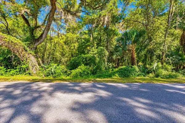 NE 399TH ST, Old Town, FL 32680