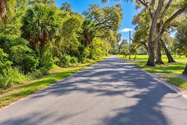 NE 399TH ST, Old Town, FL 32680