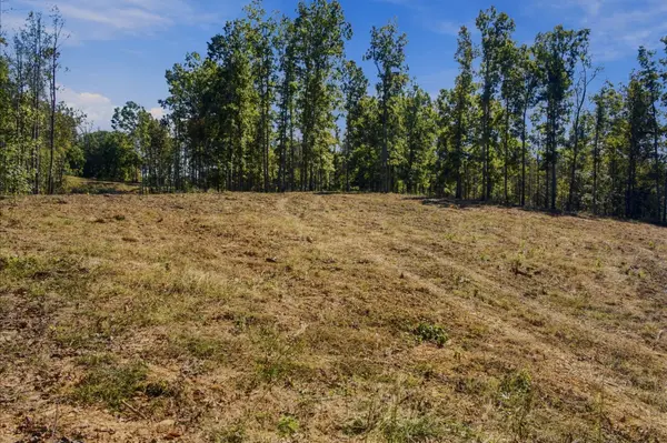0 Bell Branch Road, Nunnelly, TN 37137