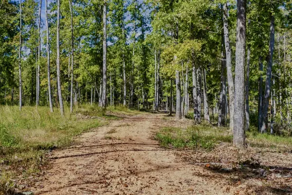 0 Bell Branch Road, Nunnelly, TN 37137