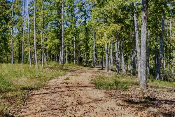 0 Bell Branch Road, Nunnelly, TN 37137