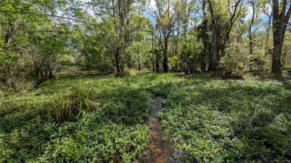 GILLETTE RD, Zolfo Springs, FL 33890