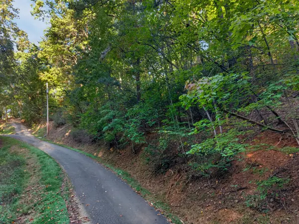 0 School House Gap Rd #N, Sevierville, TN 37876