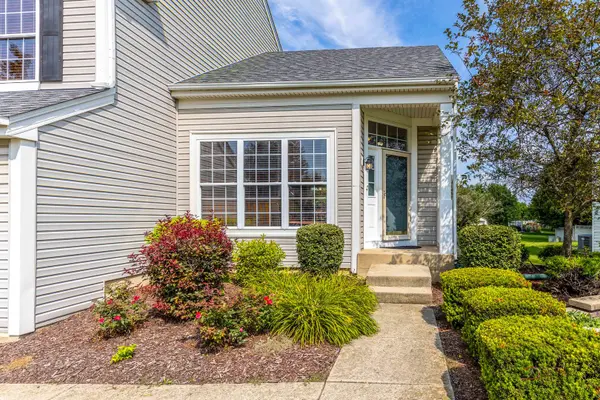 732 Wildflower CIR, Naperville, IL 60540