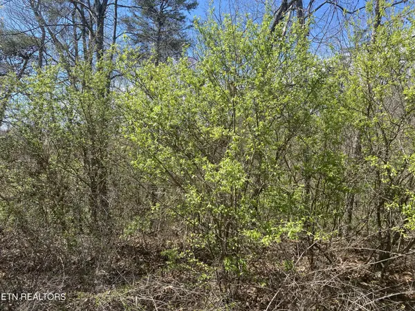 7 HWY 127 NORTH, Crossville, TN 38555