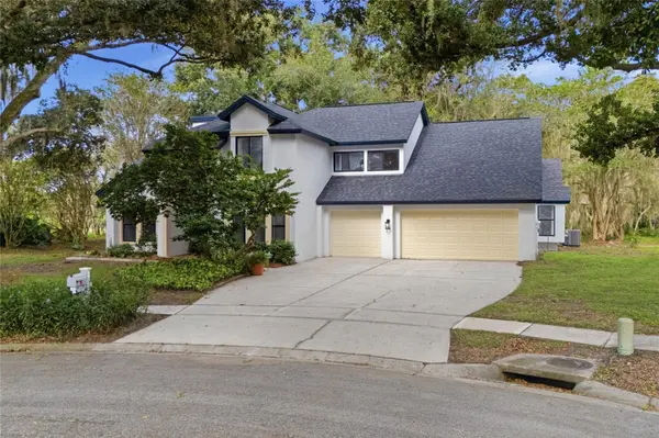 6201 GREENWICH DR, Tampa, FL 33647
