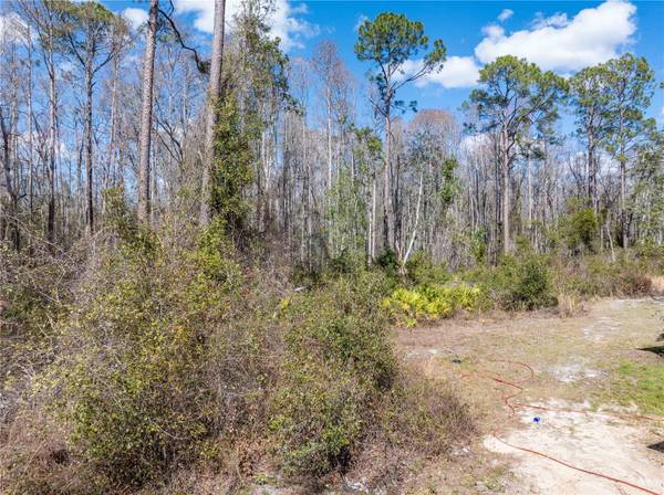 375 NW LAMAR PL, Lake City, FL 32055