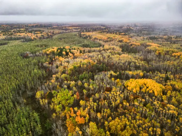 TBD TBD, Aitkin, MN 56431