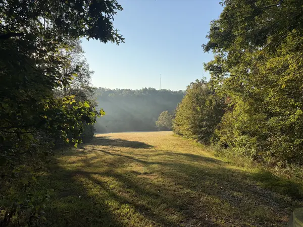 2 Caney Fork Rd, Fairview, TN 37062