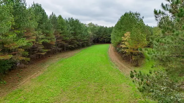 9062 Dry Creek Rd, Mount Pleasant, TN 38474