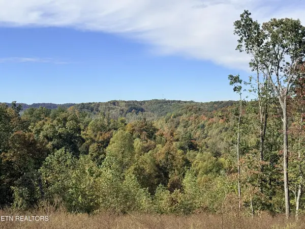 4575 Upper Crab Rd, Jamestown, TN 38556