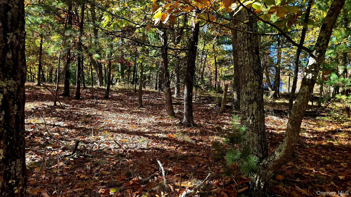 Chestnut ST, Wurtsboro, NY 12790