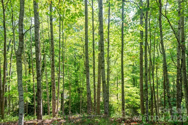 000 Sanctuary DR, Burnsville, NC 28714