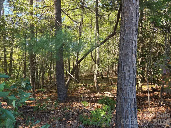 0 Crystal LN, Connelly Springs, NC 28612