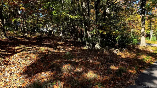 Chestnut ST, Wurtsboro, NY 12790