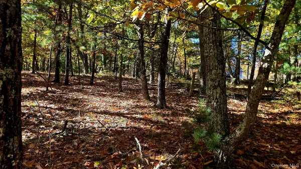 Chestnut ST, Wurtsboro, NY 12790