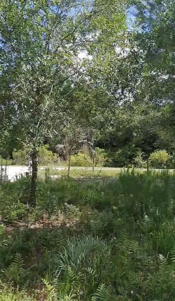 19527 NW 286TH ST, Okeechobee, FL 34972