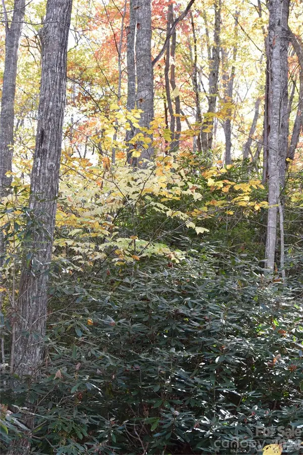 TBD Clear Creek RD, Burnsville, NC 28714