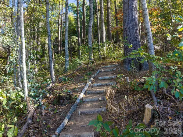 55 Bartrams Walk DR, Asheville, NC 28804