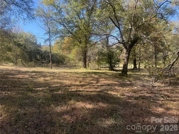 00 Meadows Station DR #4, Nebo, NC 28752