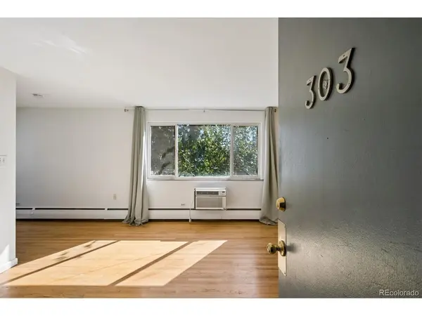 1056 N Marion #303, Denver, CO 80218