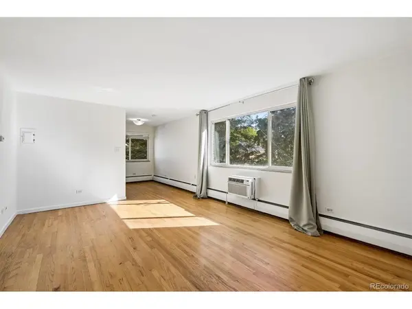 1056 N Marion #303, Denver, CO 80218