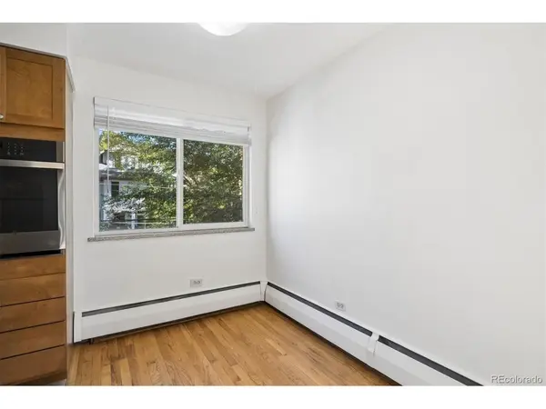 1056 N Marion #303, Denver, CO 80218