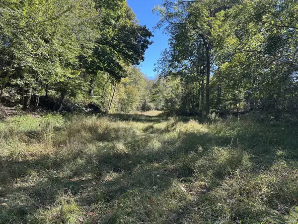 2542 W Mount Vernon Rd, Bethpage, TN 37022