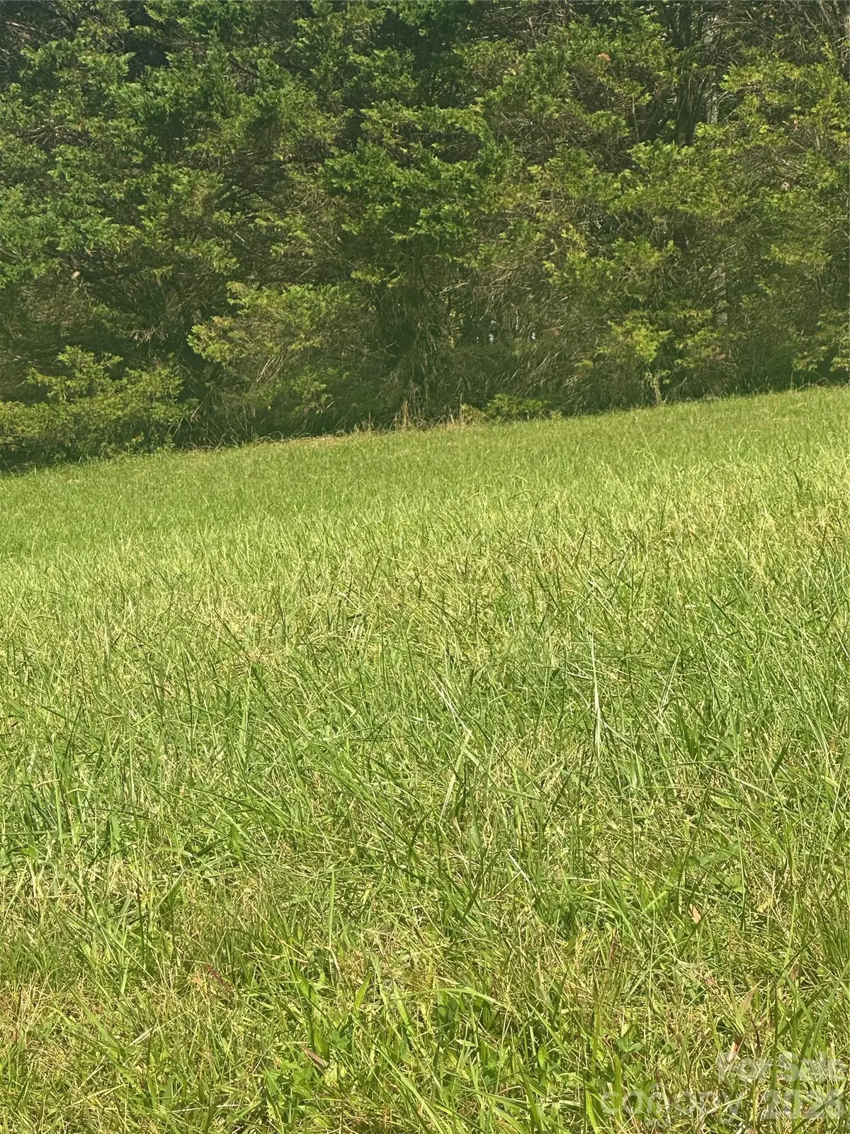 Lot 104 Parson LN #104, North Wilkesboro, NC 28659