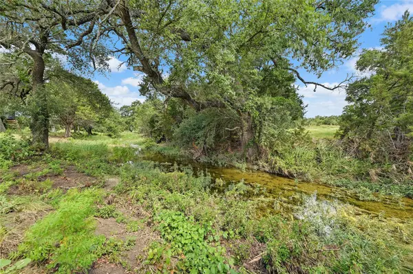 597 Spaniel Hill RD, Georgetown, TX 78633