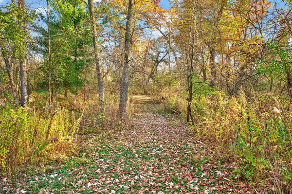 30032 154th ST NW, Zimmerman, MN 55398