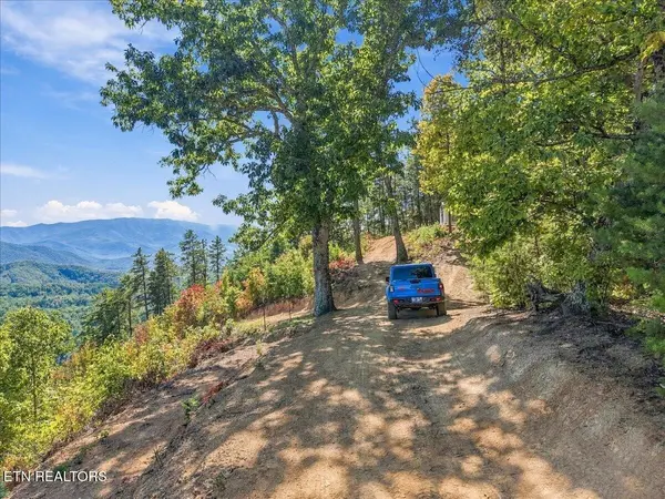 462 Middle Creek Rd, Cosby, TN 37722