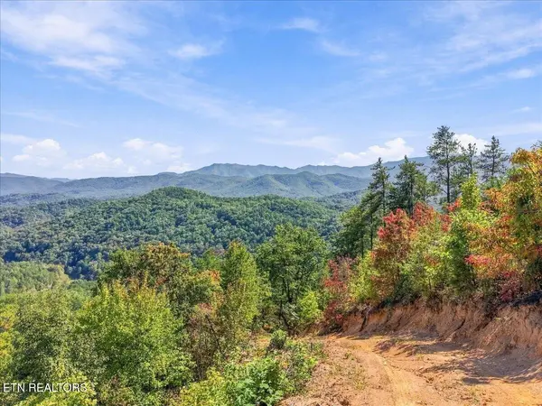 462 Middle Creek Rd, Cosby, TN 37722