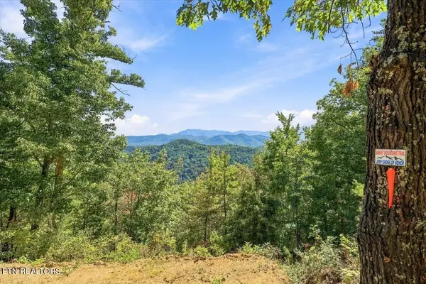 462 Middle Creek Rd, Cosby, TN 37722