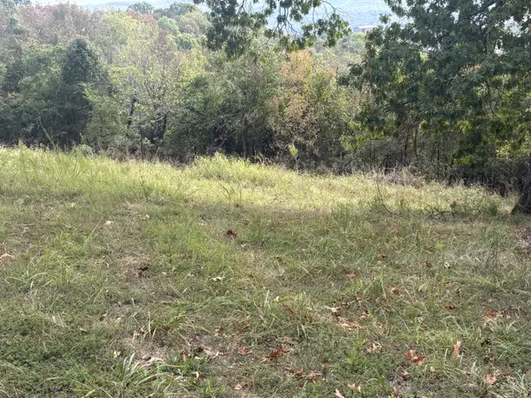 105 James River RD, Kimberling City, MO 65686