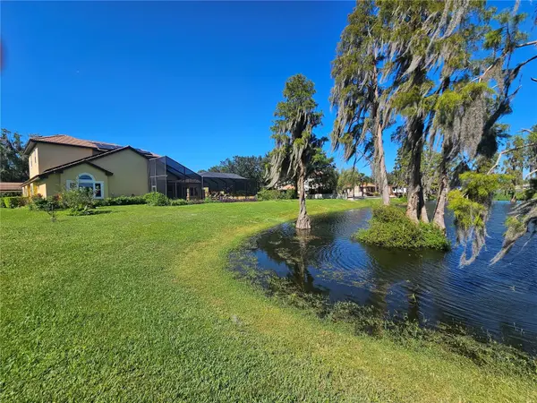 17933 PATTERSON RD, Odessa, FL 33556