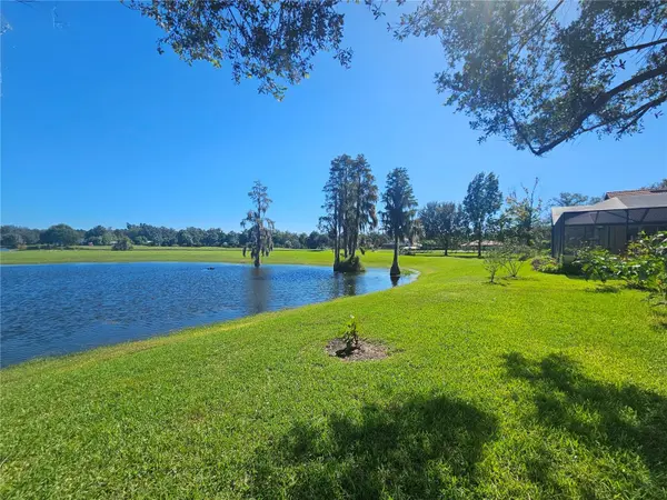 17933 PATTERSON RD, Odessa, FL 33556