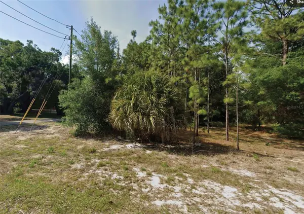 SW 86TH ST, Dunnellon, FL 34431