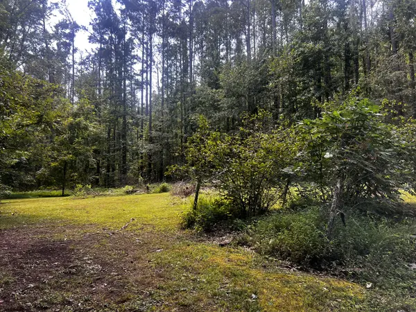 223 New Beginning Ln, Clifton, TN 38425
