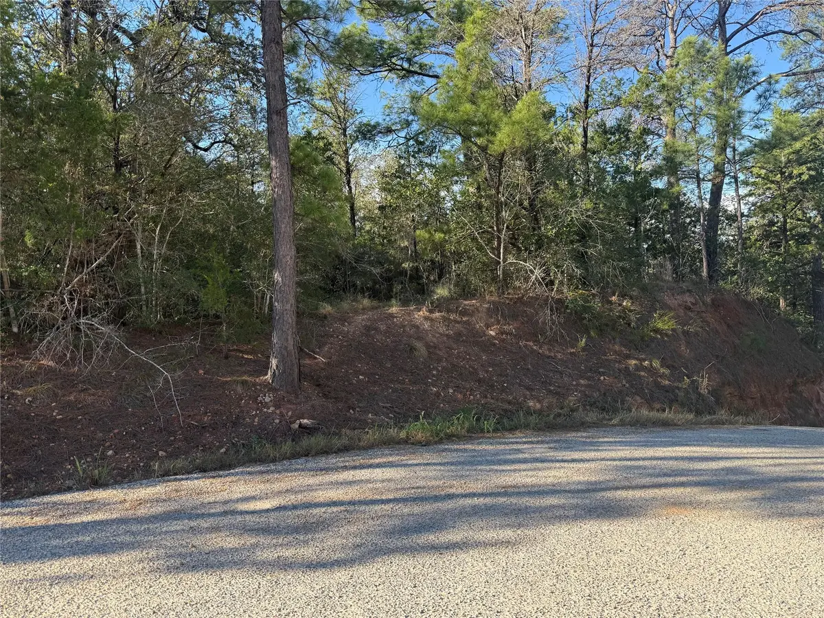 Lot 1252 TBA Hanauma DR, Bastrop, TX 78602