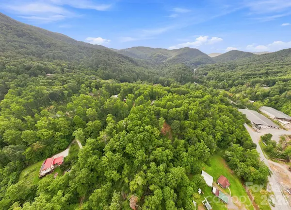 193 Fern Cove LN, Gerton, NC 28735