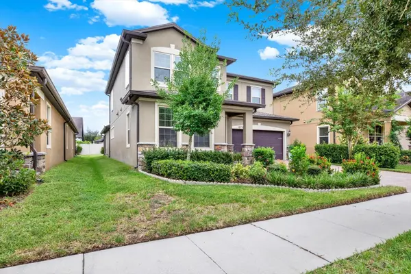 18738 BIRCHWOOD GROVES DR, Lutz, FL 33558